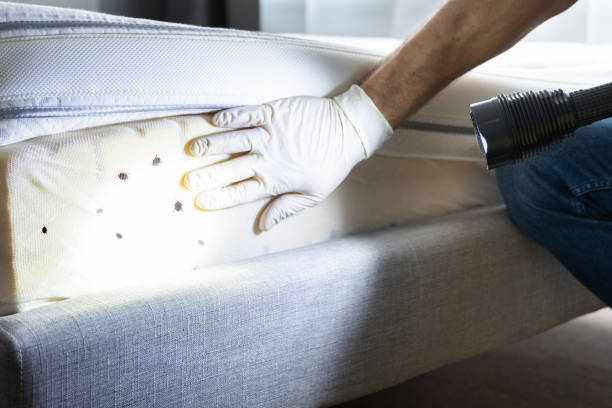 Pest Control for Restaurants in Cooperstown, NY