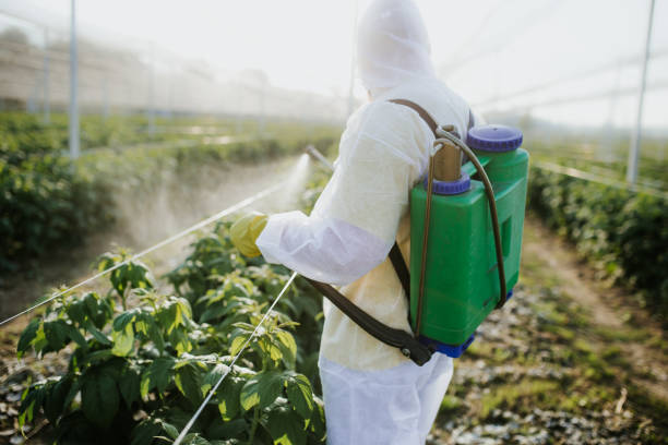 Best Pest Control Near Me  in Cooperstown, NY